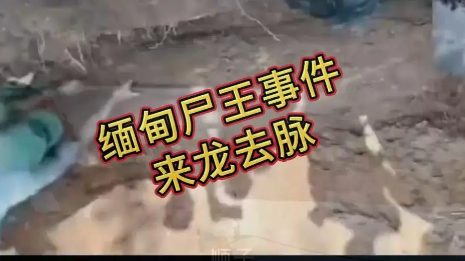 《缅甸僵尸出土事件视频》高清下载 - 诡异真相解密完整版资源在线观看免费播放
